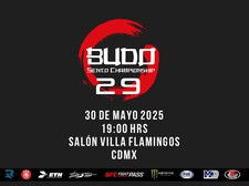 Budo Sento Championship Vol 29